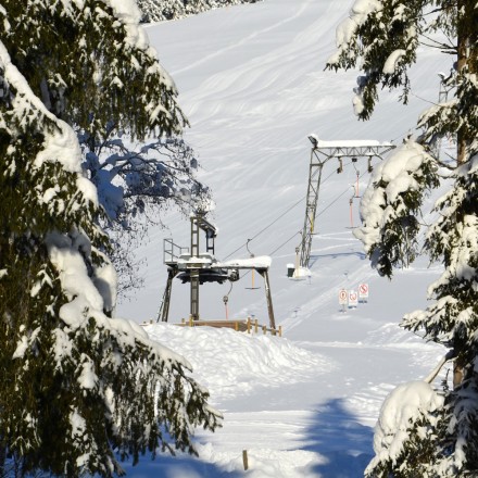 Lammertal-Skilift nur 300m entfernt