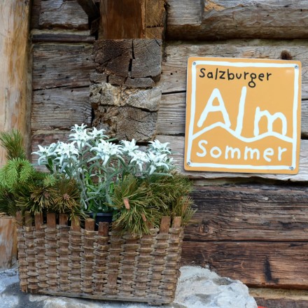 Salzburger Almsommer-Hütten