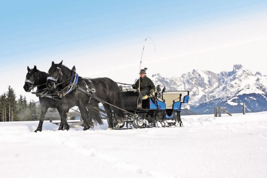 Romantische Pferdeschlittenfahrten durch die verschneite Landschaft